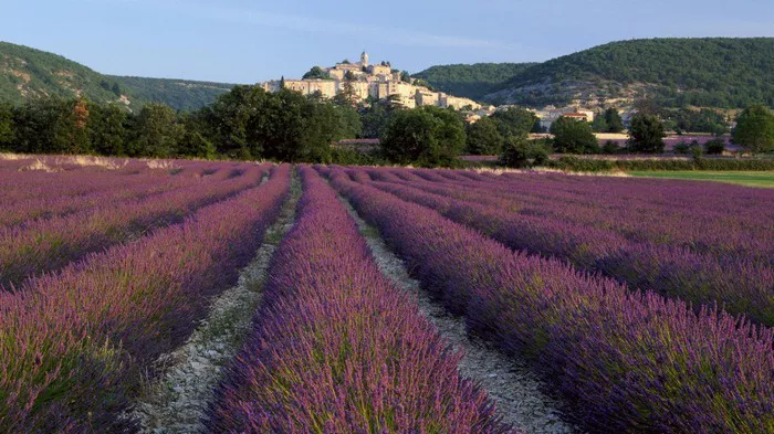 France-24